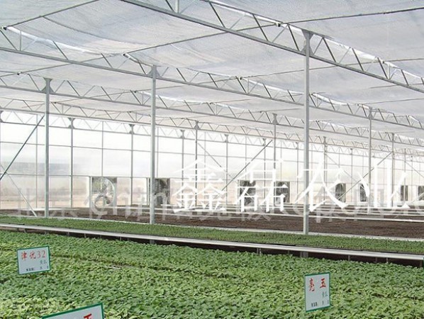 陽(yáng)光板溫室